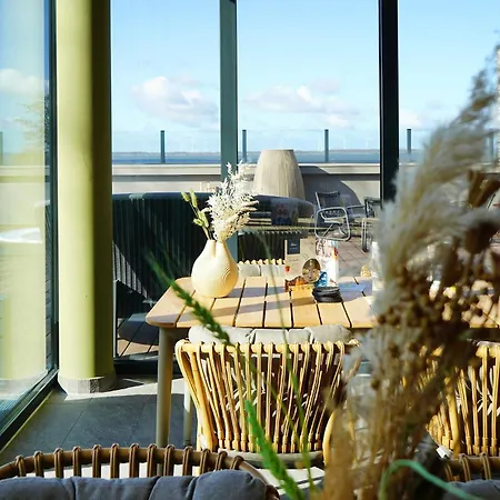Pet Friendly In Lembruch-duemmer *